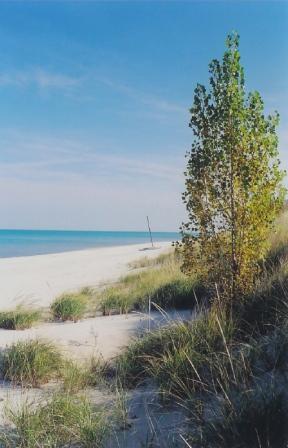 Duneland Vista